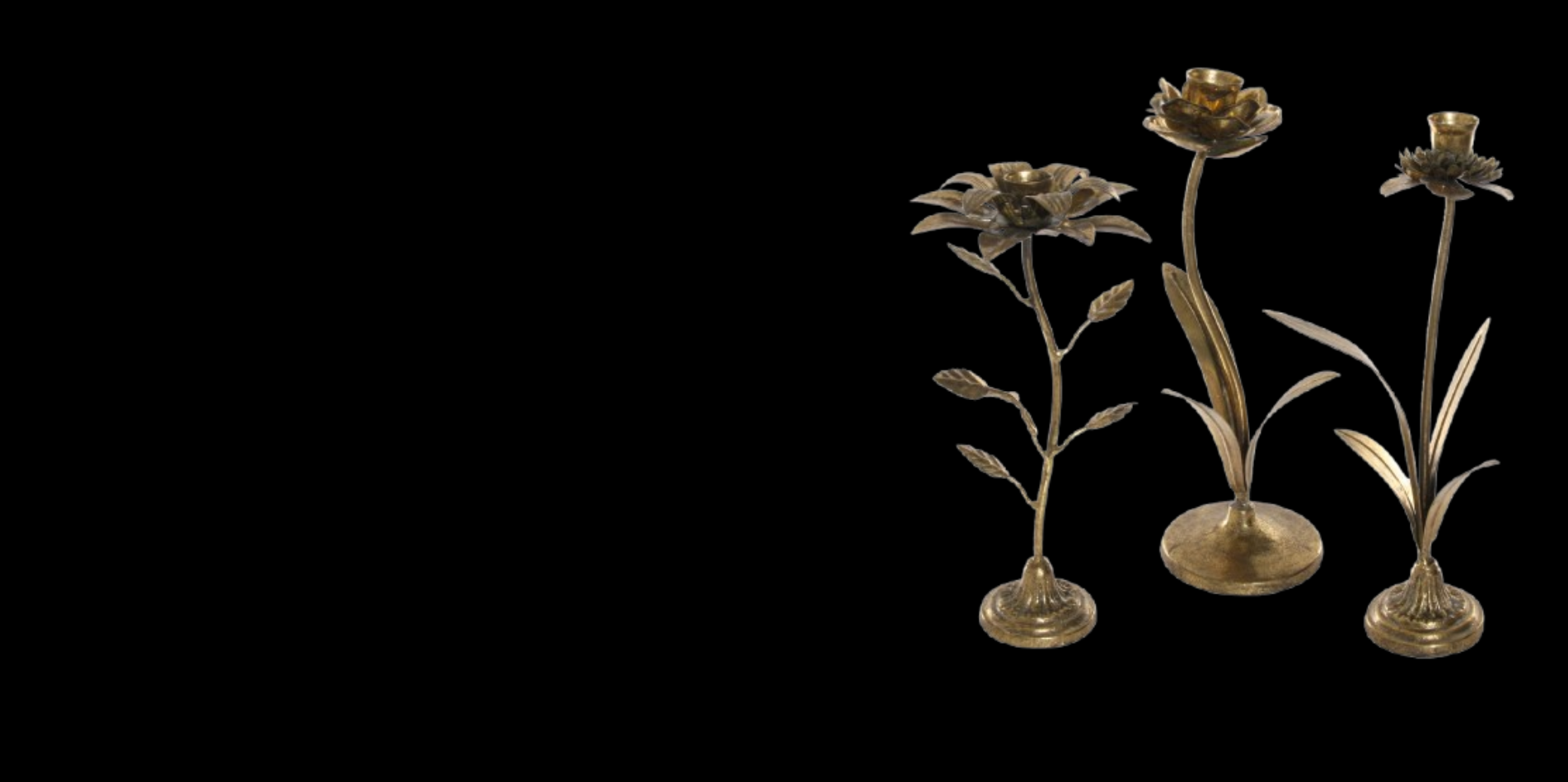 Main Banner